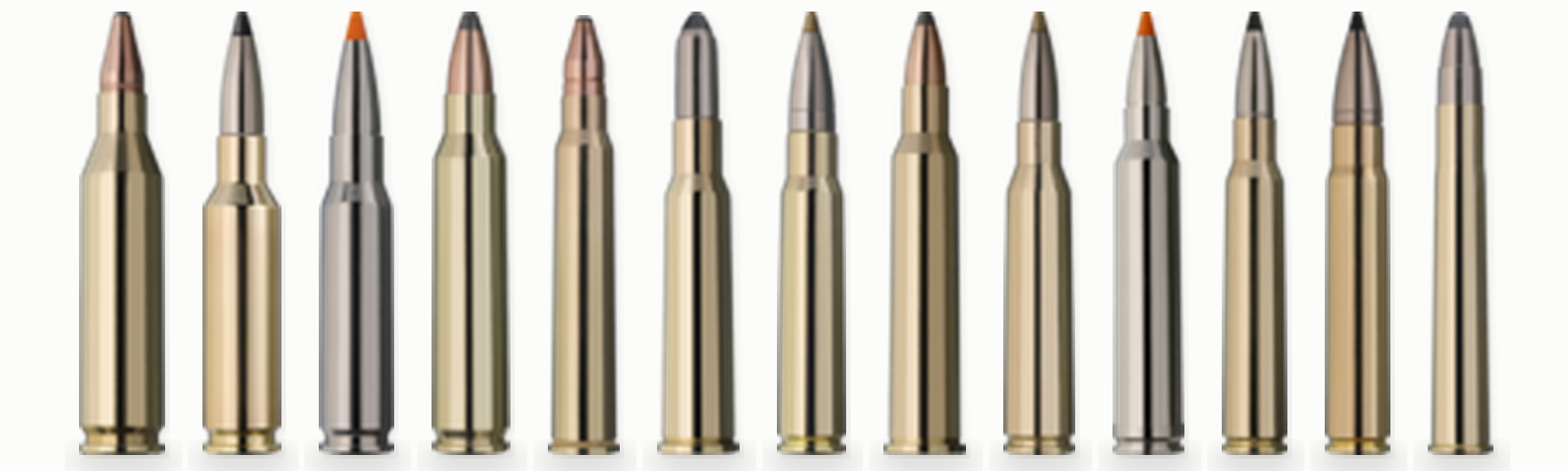 Jagdmunition und Sportmunition bei Waffen-Kolb